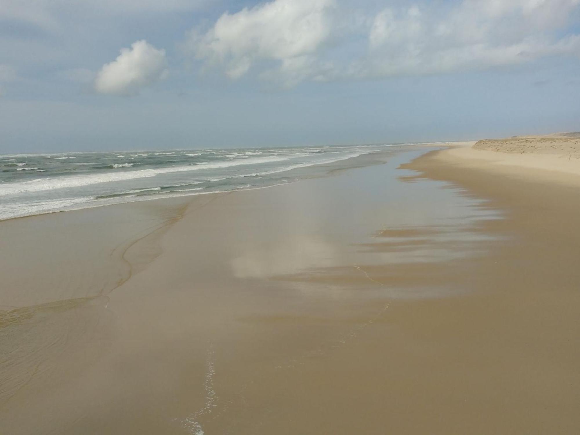 Charmant Appartement Pour 6 En Centre-Ville D'Arcachon Avec Terrasse, Parking Et Wifi - Fr-1-474-174 Exteriör bild